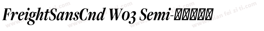 FreightSansCnd W03 Semi字体转换